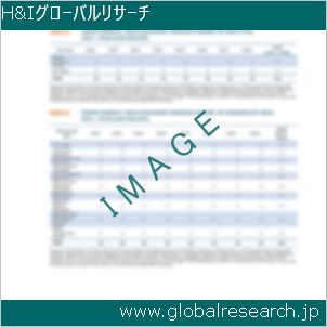 グローバルリサーチ調査レポートのイメージ